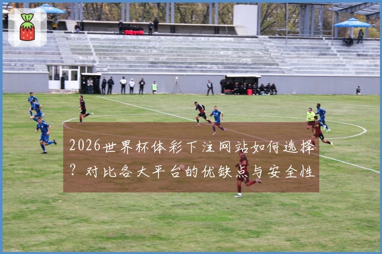 2026世界杯体彩下注网站如何选择？对比各大平台的优缺点与安全性
