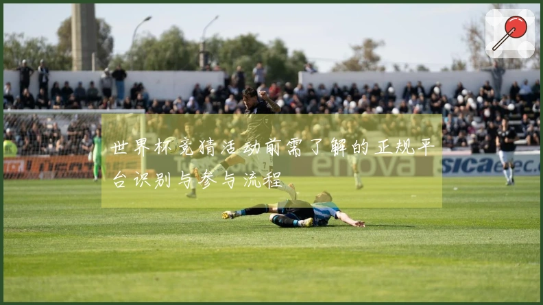 世界杯竞猜活动前需了解的正规平台识别与参与流程