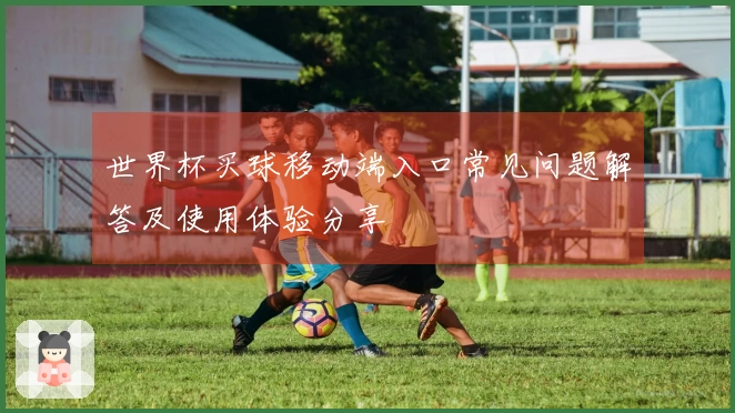 世界杯买球移动端入口常见问题解答及使用体验分享