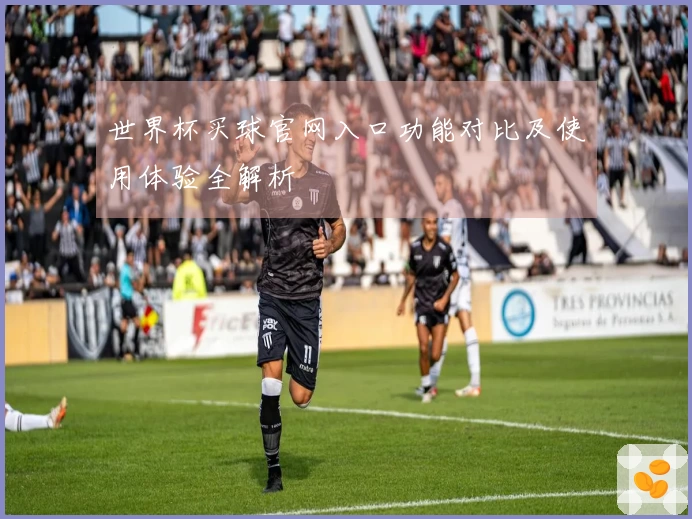 世界杯买球官网入口功能对比及使用体验全解析