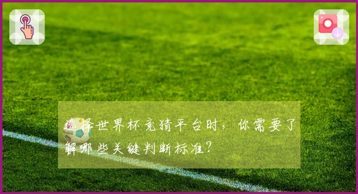 选择世界杯竞猜平台时，你需要了解哪些关键判断标准？
