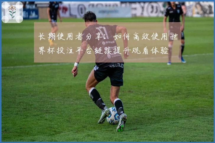 长期使用者分享：如何高效使用世界杯投注平台链接提升观看体验