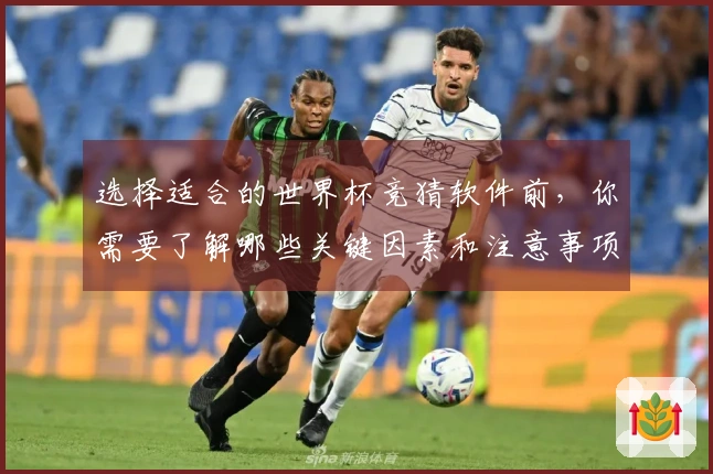 选择适合的世界杯竞猜软件前，你需要了解哪些关键因素和注意事项？