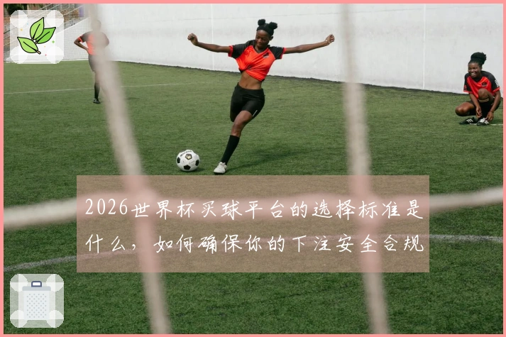 2026世界杯买球平台的选择标准是什么，如何确保你的下注安全合规？