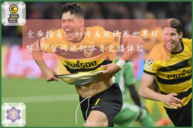 全面指南：如何高效使用世界杯买球APP官网进行体育直播体验