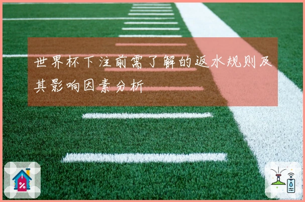 世界杯下注前需了解的返水规则及其影响因素分析