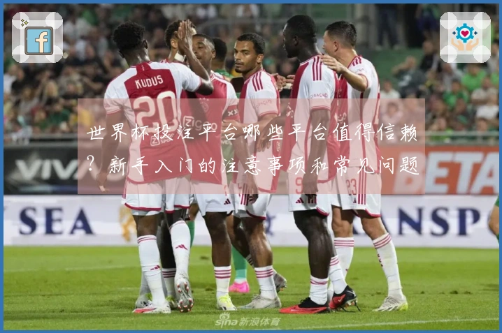 世界杯投注平台哪些平台值得信赖？新手入门的注意事项和常见问题解析