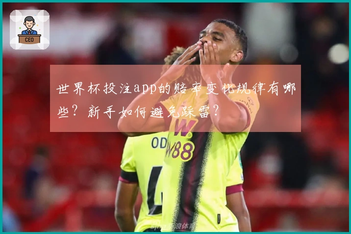 世界杯投注app的赔率变化规律有哪些?新手如何避免踩雷?