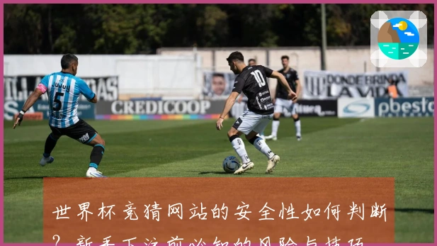 世界杯竞猜网站的安全性如何判断？新手下注前必知的风险与技巧