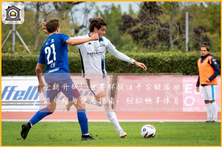 全新升级！世界杯投注平台链接功能介绍与使用指南，轻松畅享体育直播体验