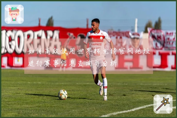 如何高效使用世界杯竞猜官网地址进行赛事信息查询与分析