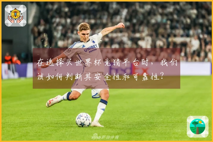 在选择买世界杯竞猜平台时，我们该如何判断其安全性和可靠性？