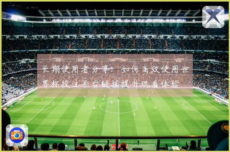 长期使用者分享：如何高效使用世界杯投注平台链接提升观看体验