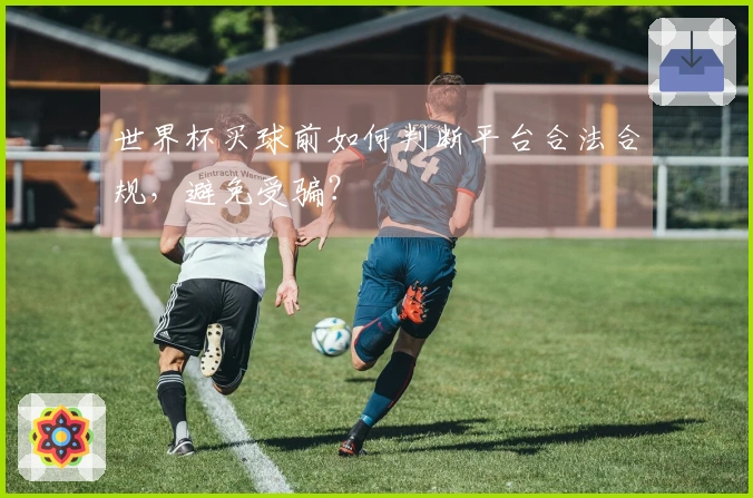 世界杯买球前如何判断平台合法合规，避免受骗？
