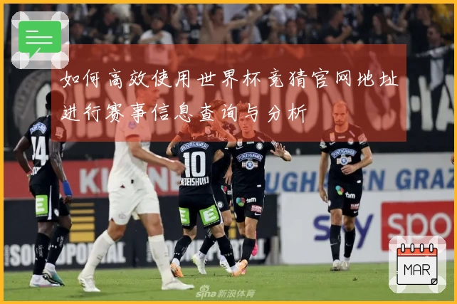 如何高效使用世界杯竞猜官网地址进行赛事信息查询与分析