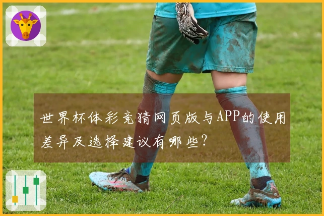世界杯体彩竞猜网页版与APP的使用差异及选择建议有哪些?